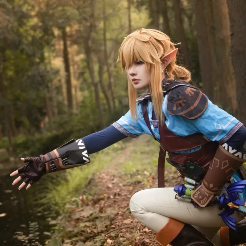 Jeu Zelda Breath of The Wild L - Zelda Party Games avis et prix